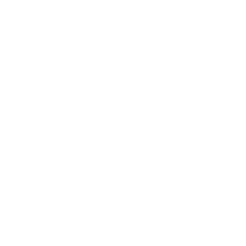 The Aydin Foundation logo